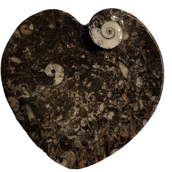 NWOT Gray Heart Shape Natural Stone Fossil Dish - Picture 8 of 9